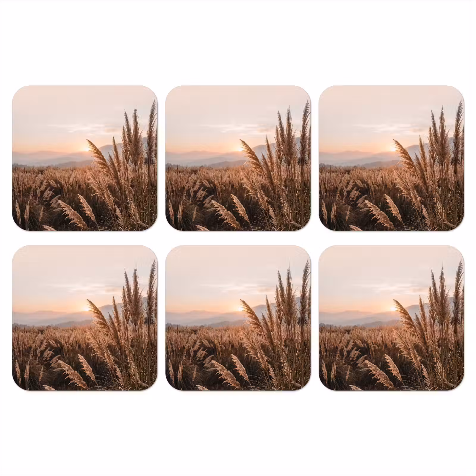 Onderzetter - Gras - Veld - Zon - Natuur — 1