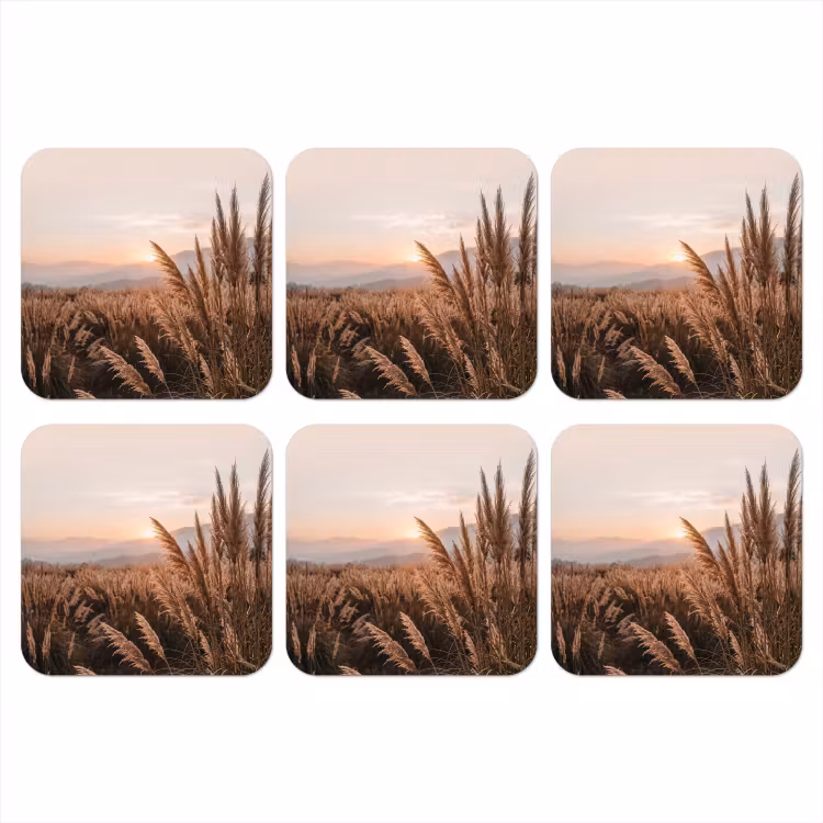 Onderzetter - Gras - Veld - Zon - Natuur — 1