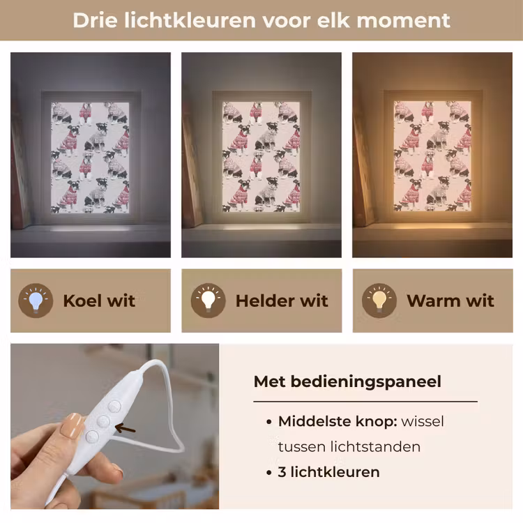 Nachtlampje - Honden - Truien - Rood — 5