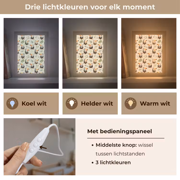 Nachtlampje - Toekans - Exotisch - Kleurrijk — 5