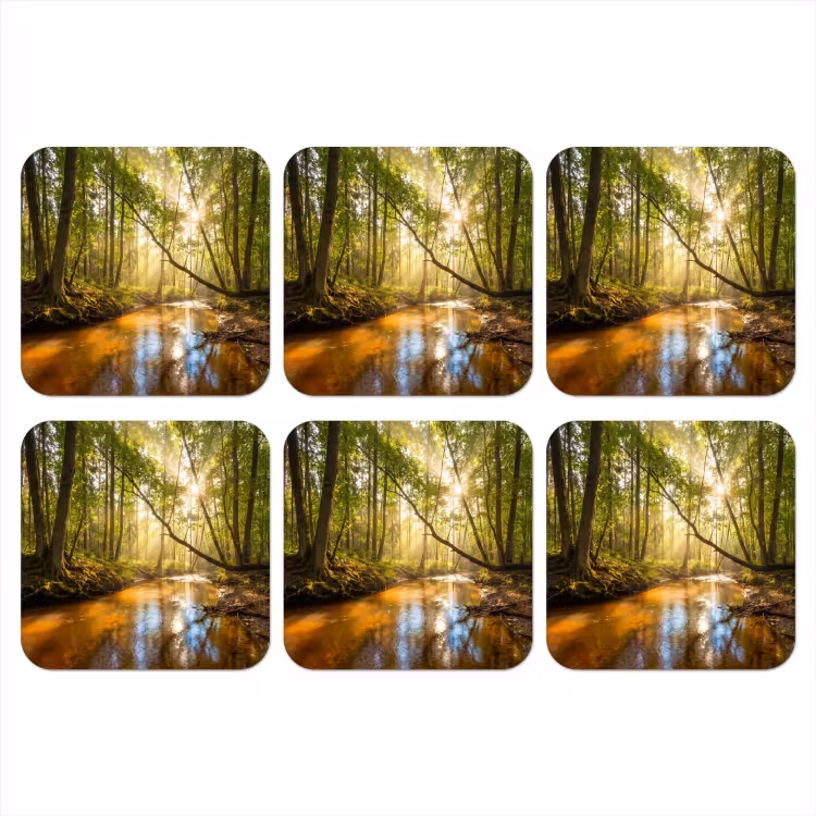 Onderzetter - Bos - Beek - Zonlicht - Natuur - Groen — 1