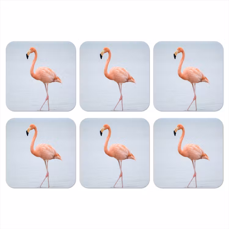 Onderzetter​ - Flamingo - Zee - Roze — 1
