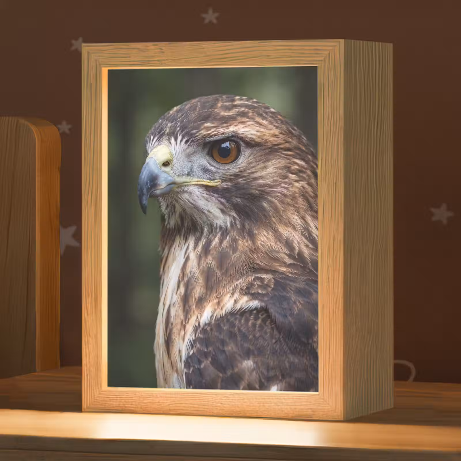 Nachtlampje - Buizerd - Roofvogel - Natuur - Bruin — 1