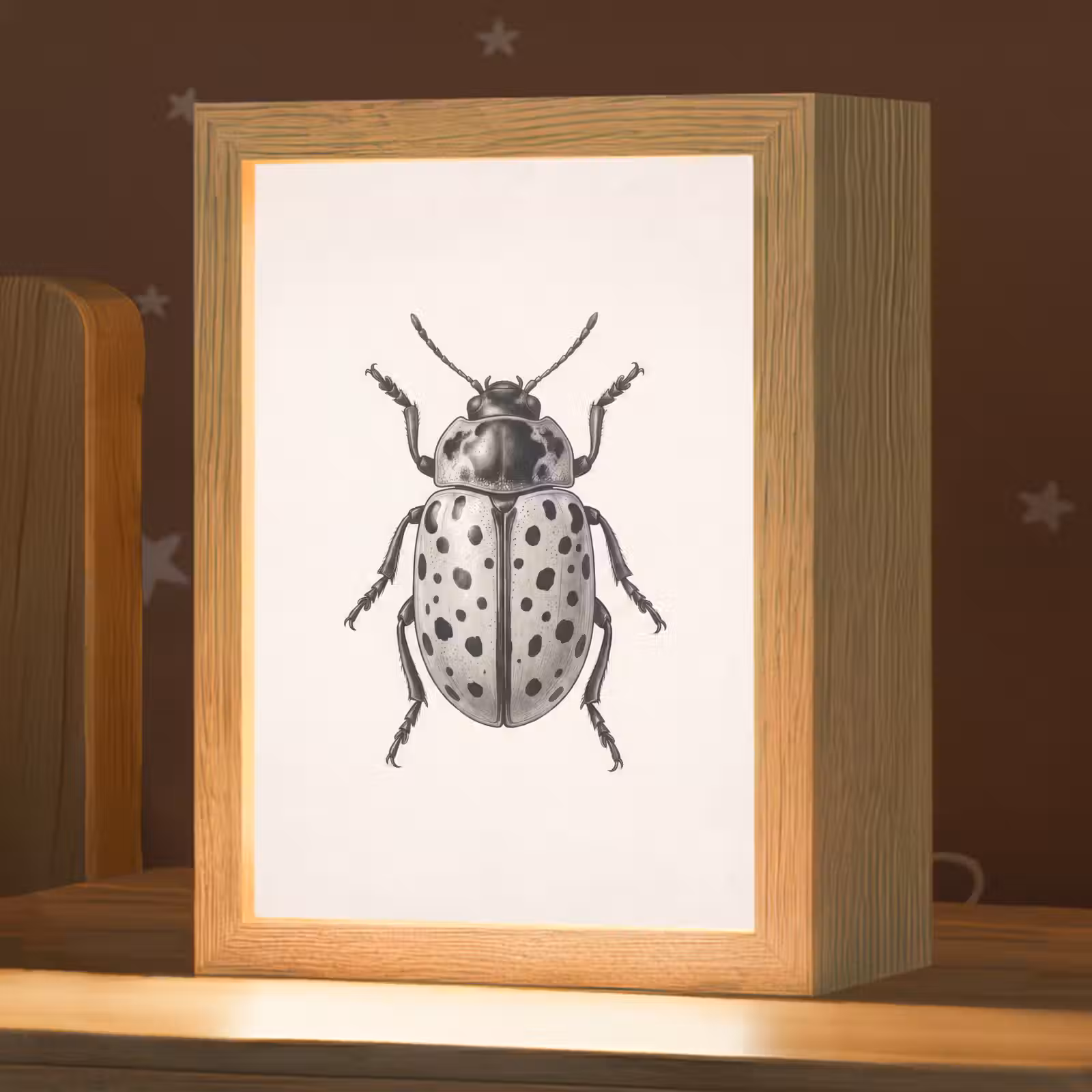 Nachtlampje - Kever - Insect - Vintage — 1