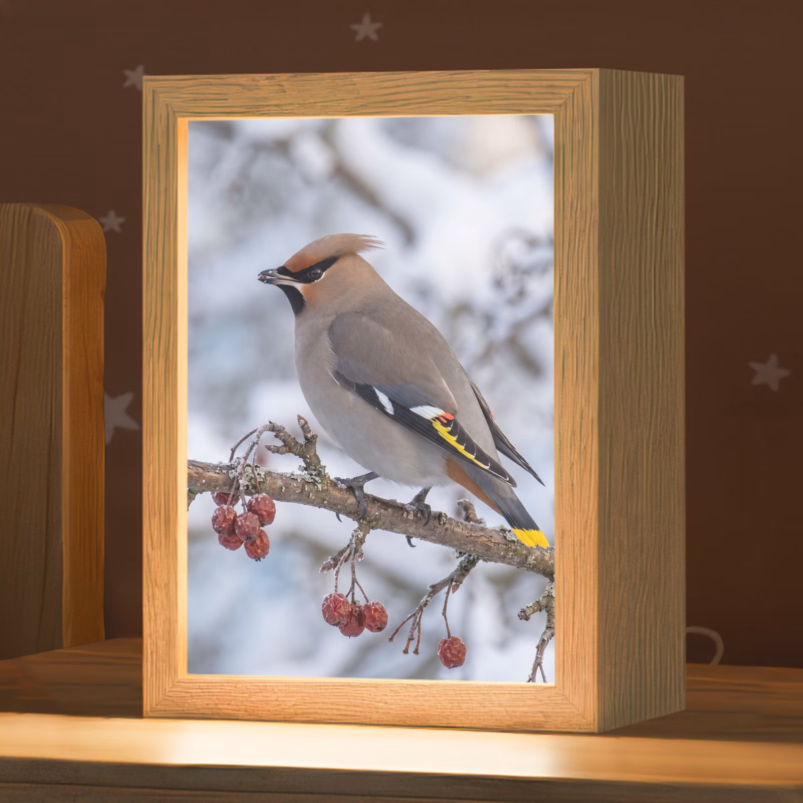 Nachtlampje - Pestvogel - Bessen - Winter - Natuur — 1
