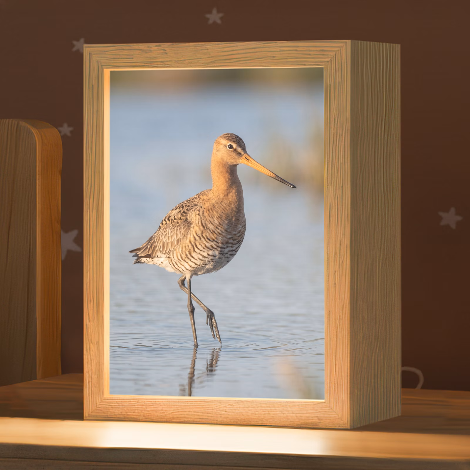 Nachtlampje - Vogel - Steltloper - Water - Natuur — 1