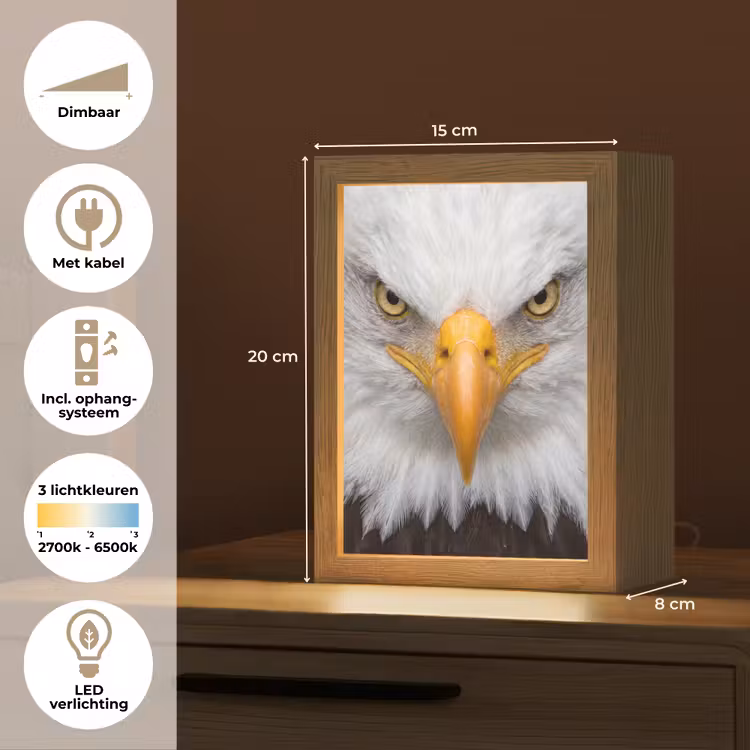 Nachtlampje - Amerikaans - Zeearend - Portret - Geel — 2