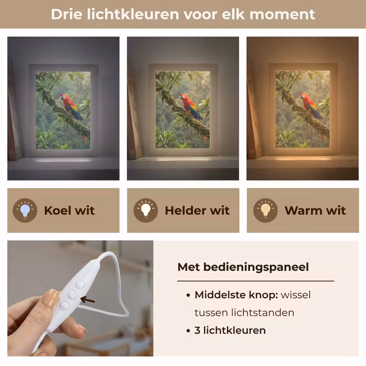 Nachtlampje - Ara - Jungle - Rood — 5
