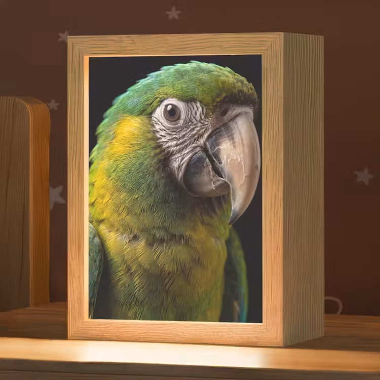 Nachtlampje - Ara - Portret - Groen — 1