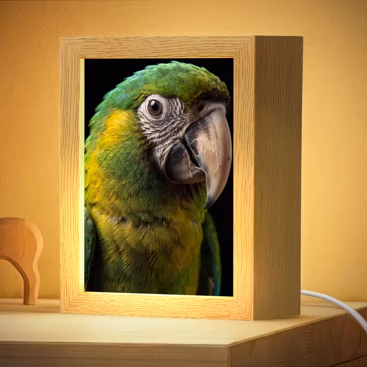 Nachtlampje - Ara - Portret - Groen — 4