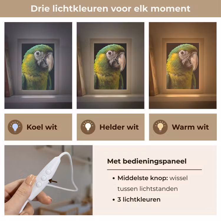 Nachtlampje - Ara - Portret - Groen — 5