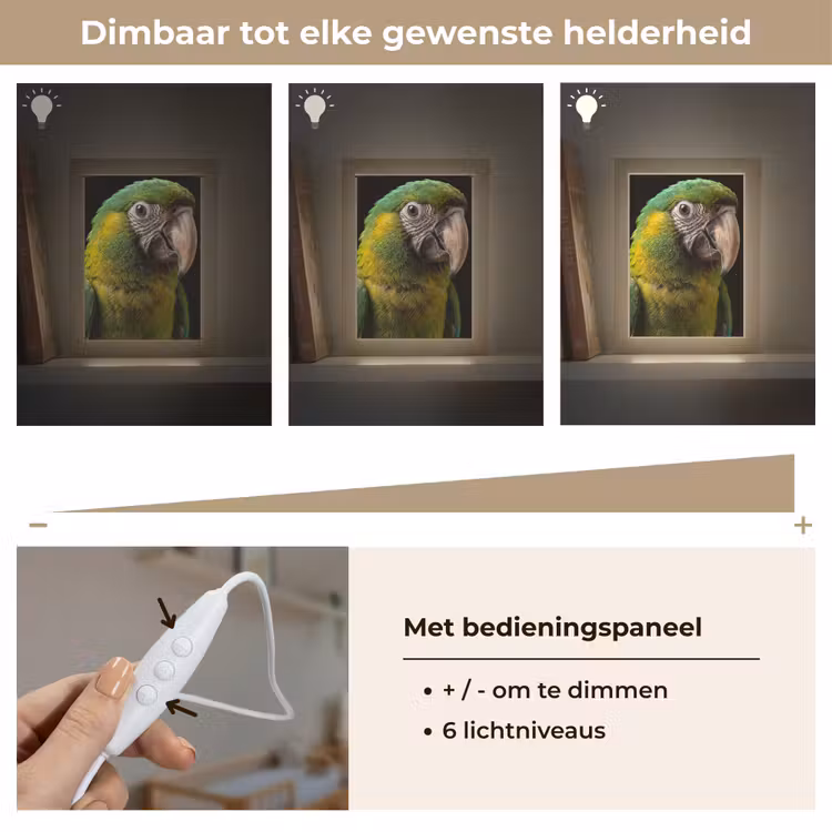 Nachtlampje - Ara - Portret - Groen — 6