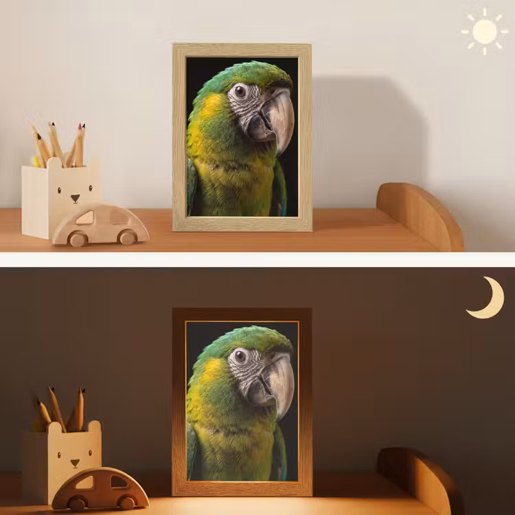 Nachtlampje - Ara - Portret - Groen — 7