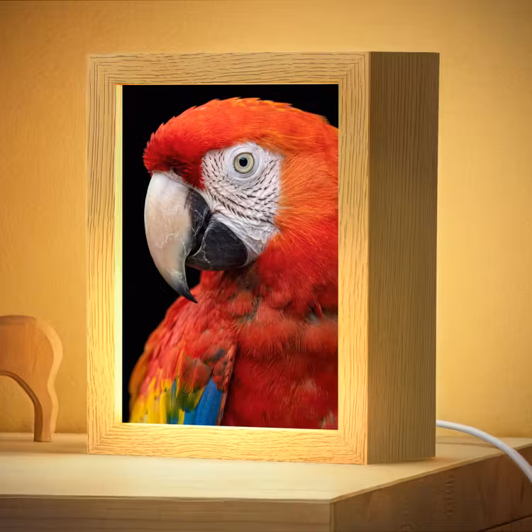 Nachtlampje - Ara - Portret - Rood — 4