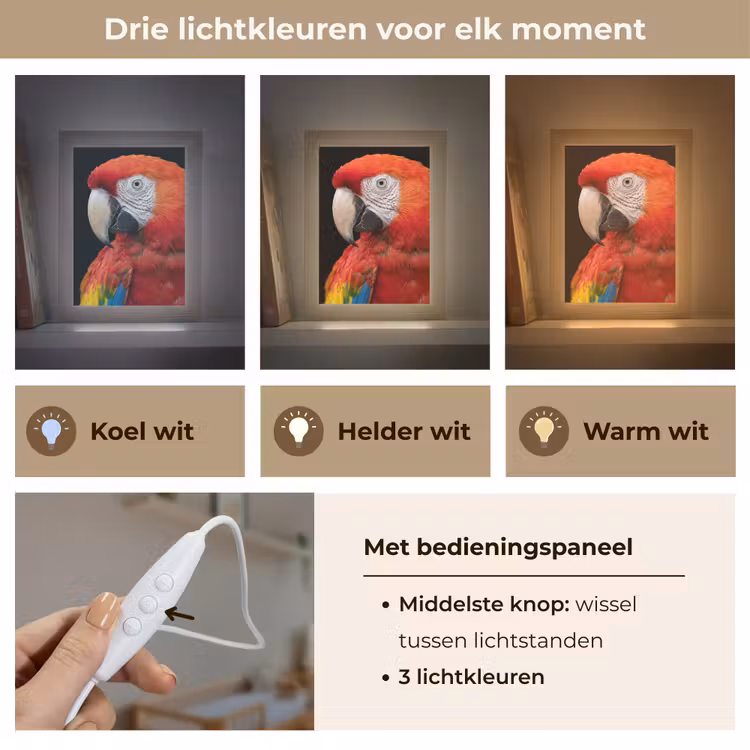 Nachtlampje - Ara - Portret - Rood — 5