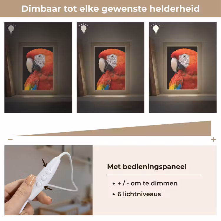 Nachtlampje - Ara - Portret - Rood — 6
