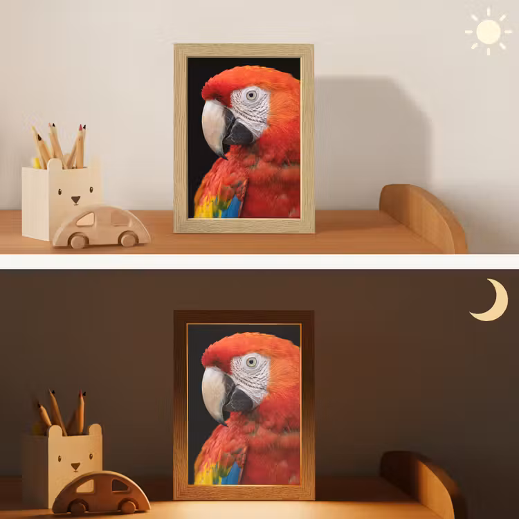 Nachtlampje - Ara - Portret - Rood — 7