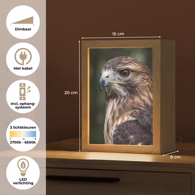 Nachtlampje - Buizerd - Roofvogel - Natuur - Bruin — 2