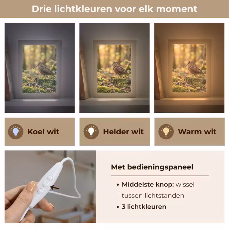 Nachtlampje - Houtsnip - Bos - Bladeren - Herfst - Gecamoufleerd — 5
