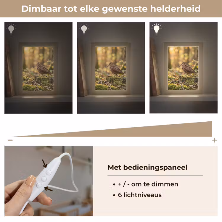 Nachtlampje - Houtsnip - Bos - Bladeren - Herfst - Gecamoufleerd — 6