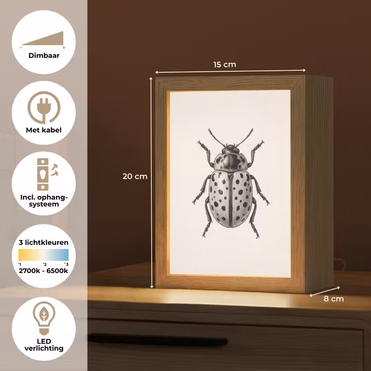 Nachtlampje - Kever - Insect - Vintage — 2
