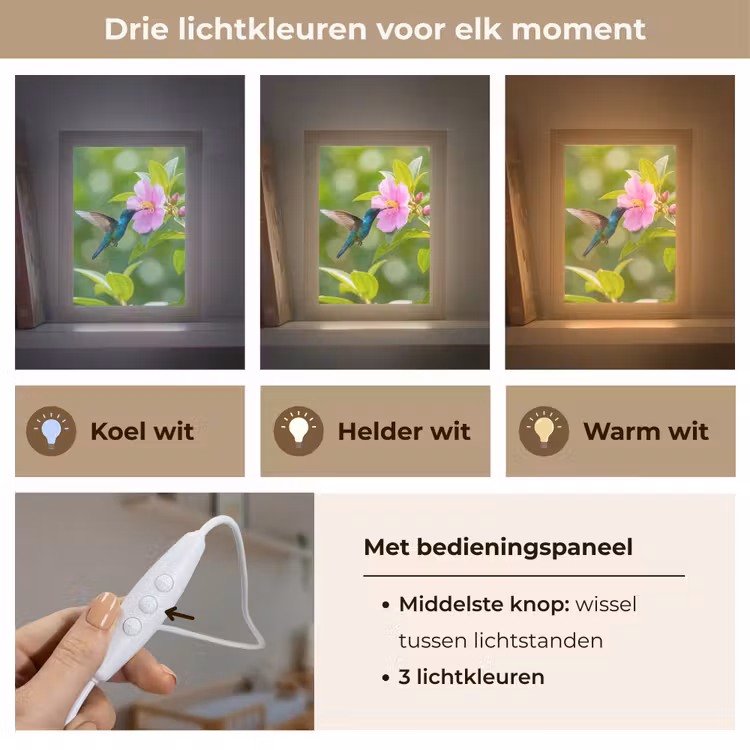 Nachtlampje - Kolibrie - Bloem - Natuur - Groen — 5