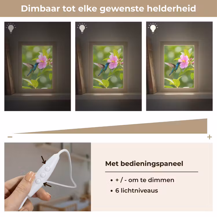 Nachtlampje - Kolibrie - Bloem - Natuur - Groen — 6