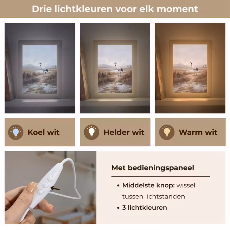 Nachtlampje - Kraanvogel - Natuur - Realistisch — 5