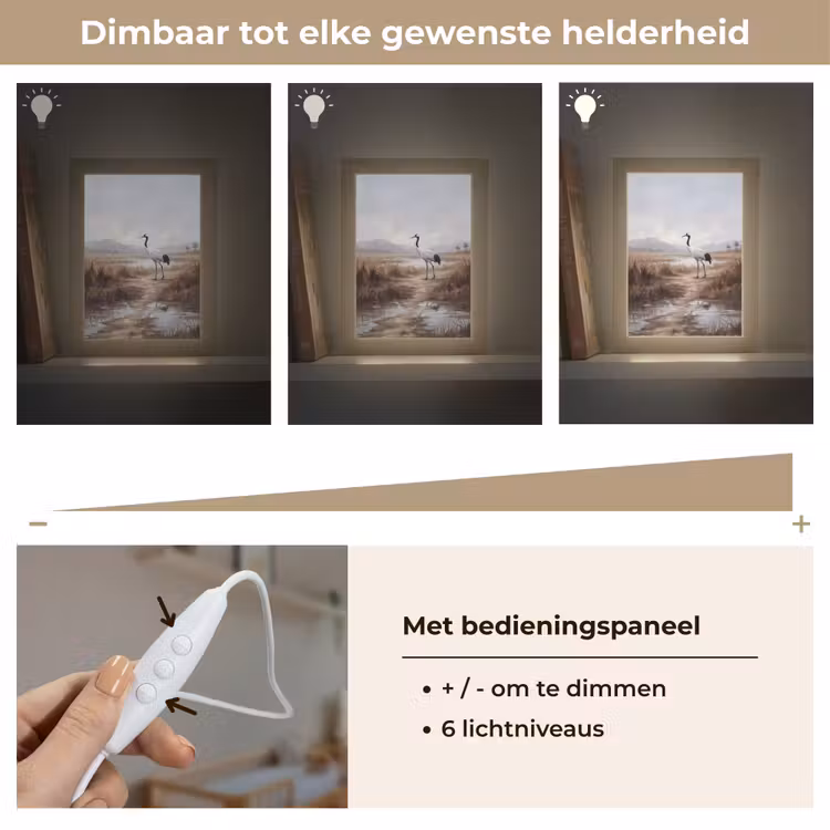 Nachtlampje - Kraanvogel - Natuur - Realistisch — 6