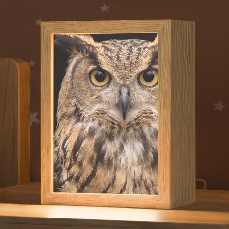 Nachtlampje - Oehoe - Uil - Portret - Bruin — 1
