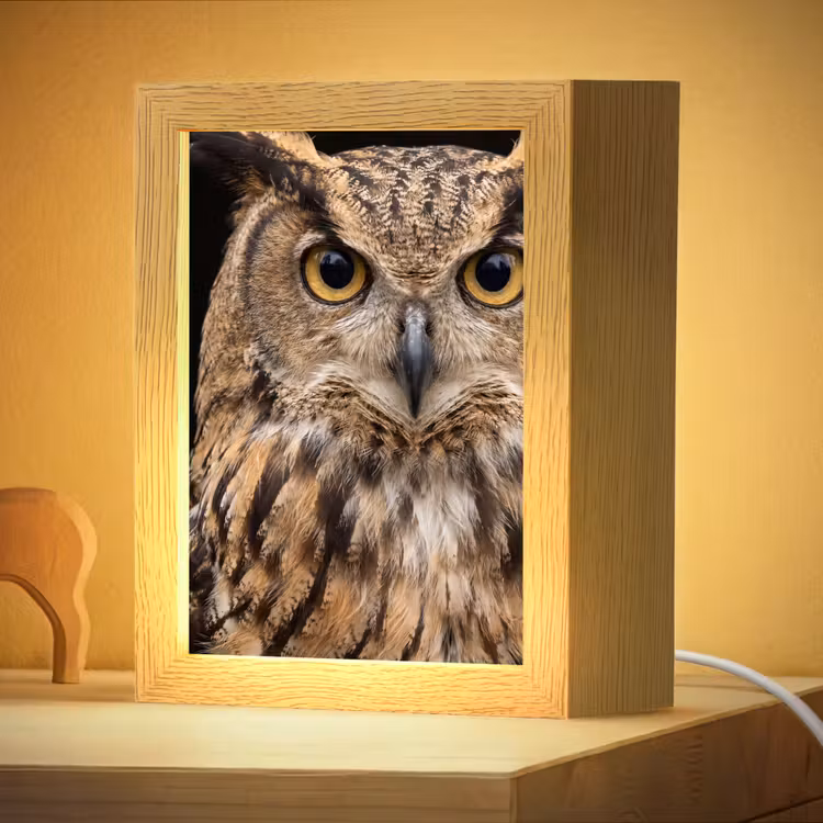 Nachtlampje - Oehoe - Uil - Portret - Bruin — 4