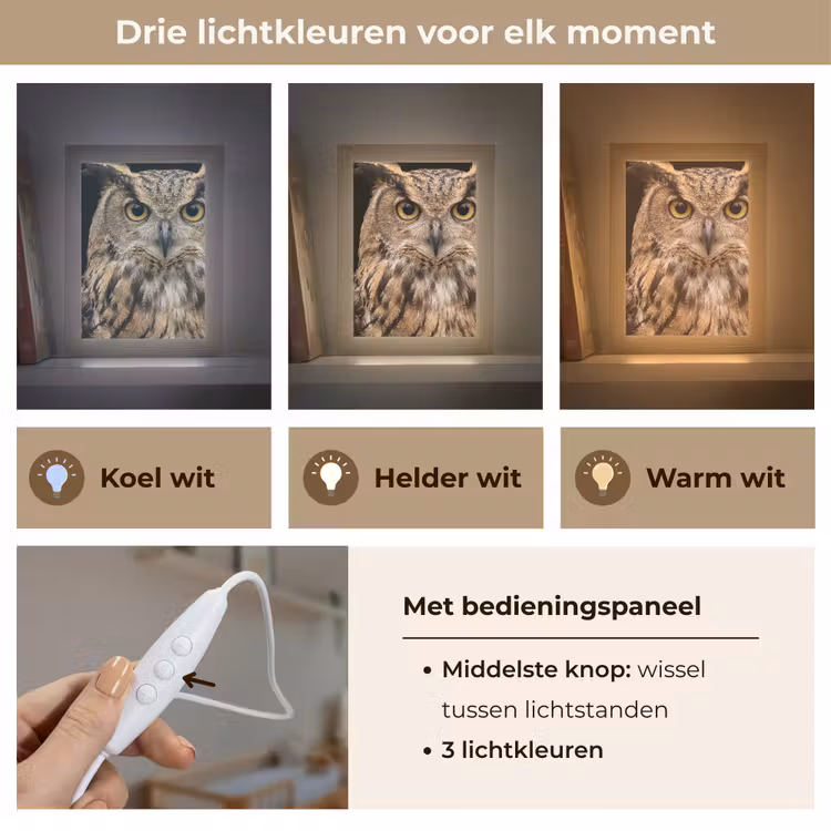 Nachtlampje - Oehoe - Uil - Portret - Bruin — 5