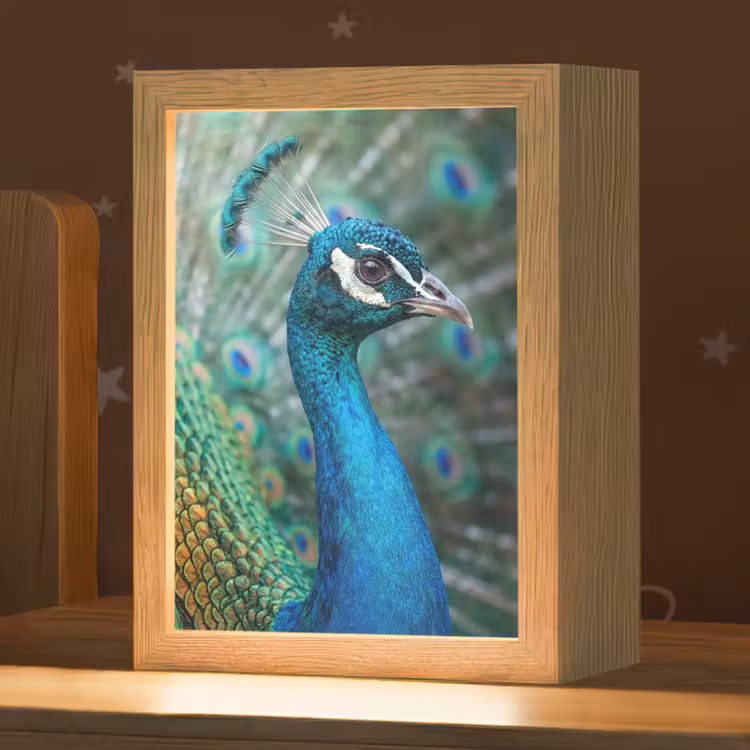 Nachtlampje - Pauw - Veren - Blauw — 1