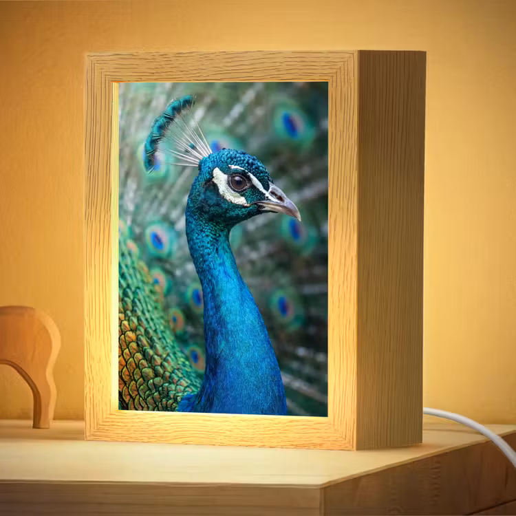 Nachtlampje - Pauw - Veren - Blauw — 4