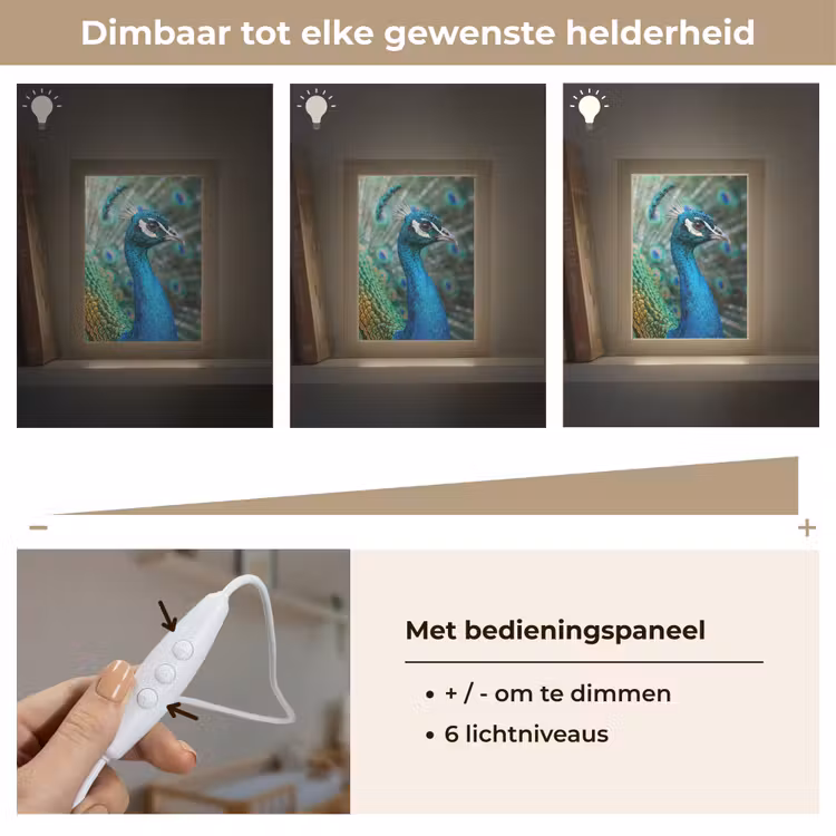 Nachtlampje - Pauw - Veren - Blauw — 6