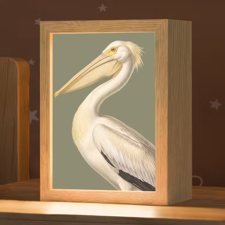 Nachtlampje - Pelikaan - Wit - Vogel - Klassiek - Natuur — 1