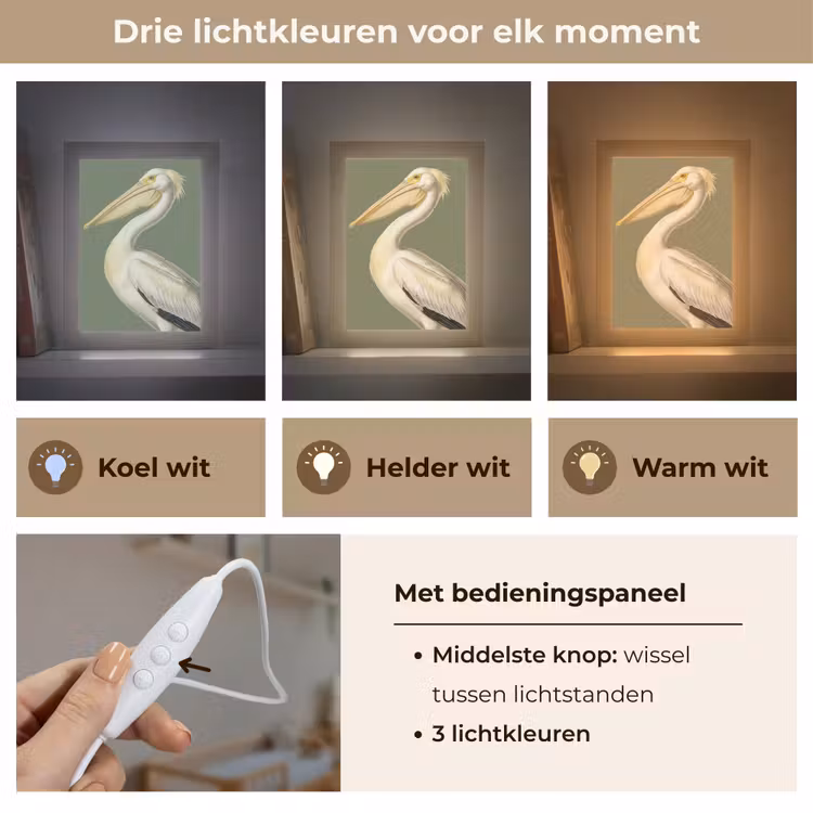 Nachtlampje - Pelikaan - Wit - Vogel - Klassiek - Natuur — 5