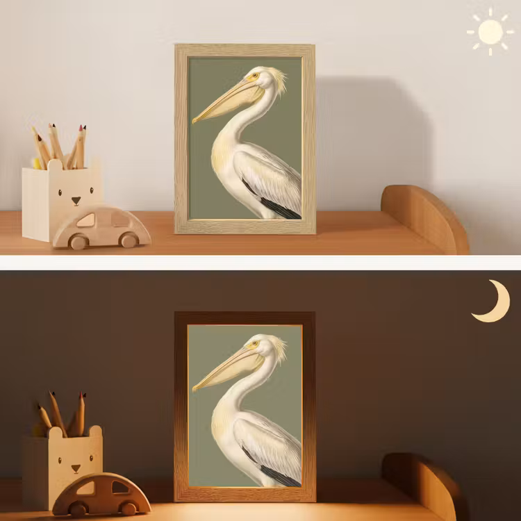 Nachtlampje - Pelikaan - Wit - Vogel - Klassiek - Natuur — 7
