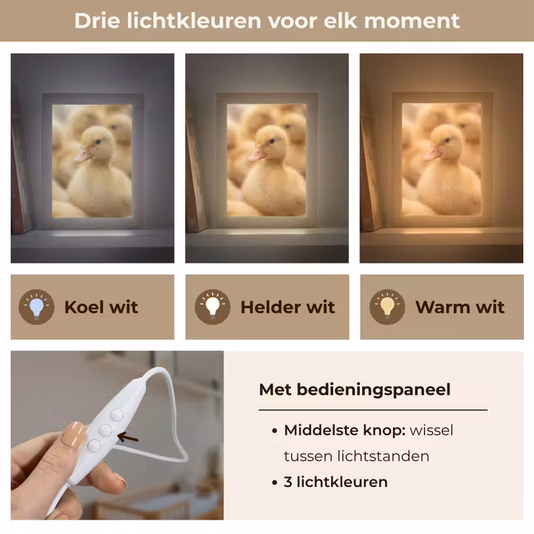 Nachtlampje - Pijltje - Eend - Natuur - Geel — 5