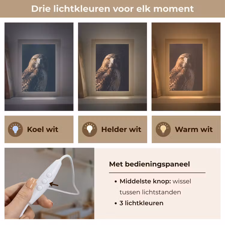 Nachtlampje - Roofvogel - Buizerd - Bruin — 5