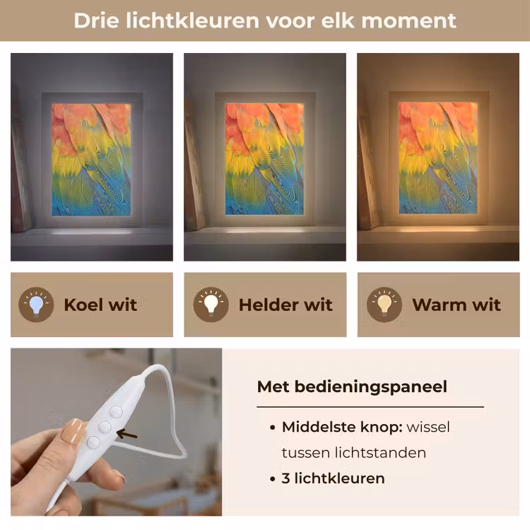 Nachtlampje - Veren - Ara - Kleurrijk — 5