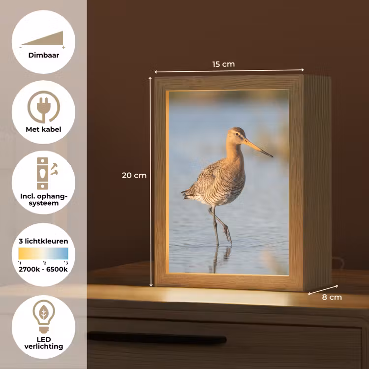 Nachtlampje - Vogel - Steltloper - Water - Natuur — 2