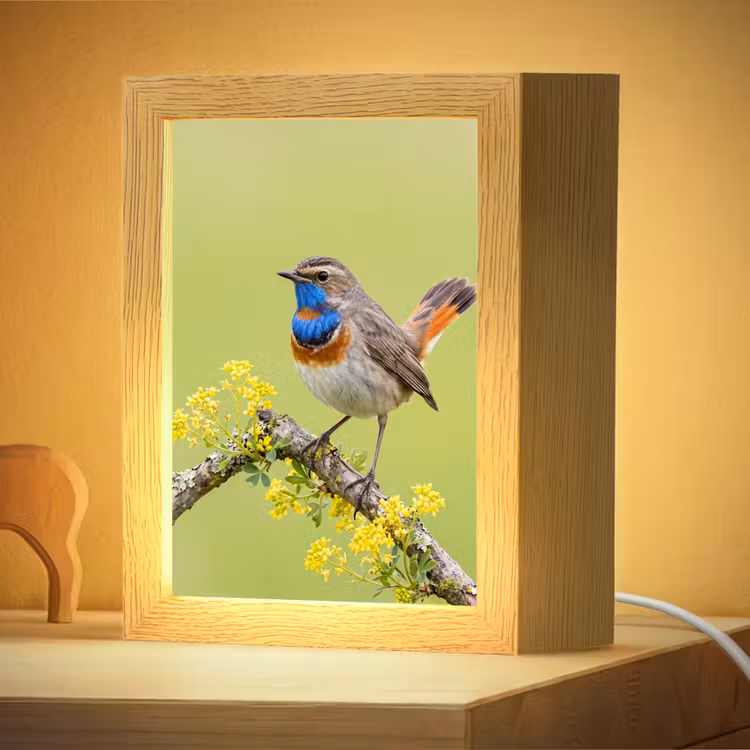 Nachtlampje - Vogel - Tak - Natuur - Kleurrijk — 4