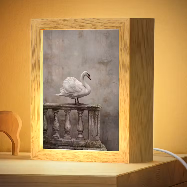 Nachtlampje - Zwaan - Elegant - Dieren - Wit — 4