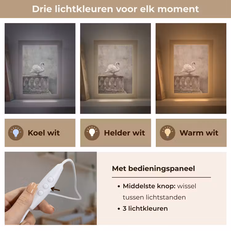 Nachtlampje - Zwaan - Elegant - Dieren - Wit — 5
