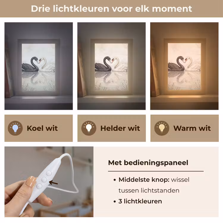 Nachtlampje - Zwanen - Hartvorm - Dieren — 5