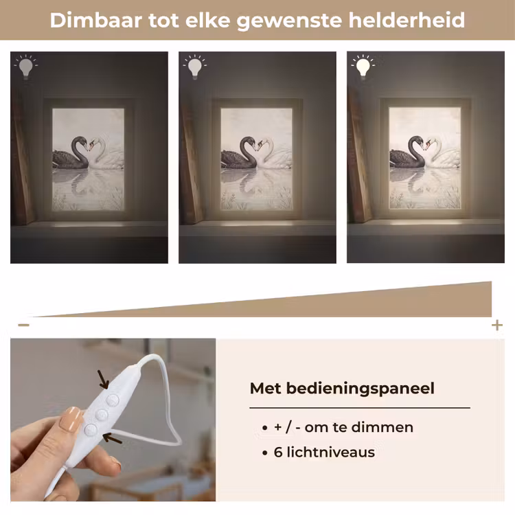 Nachtlampje - Zwanen - Hartvorm - Dieren — 6