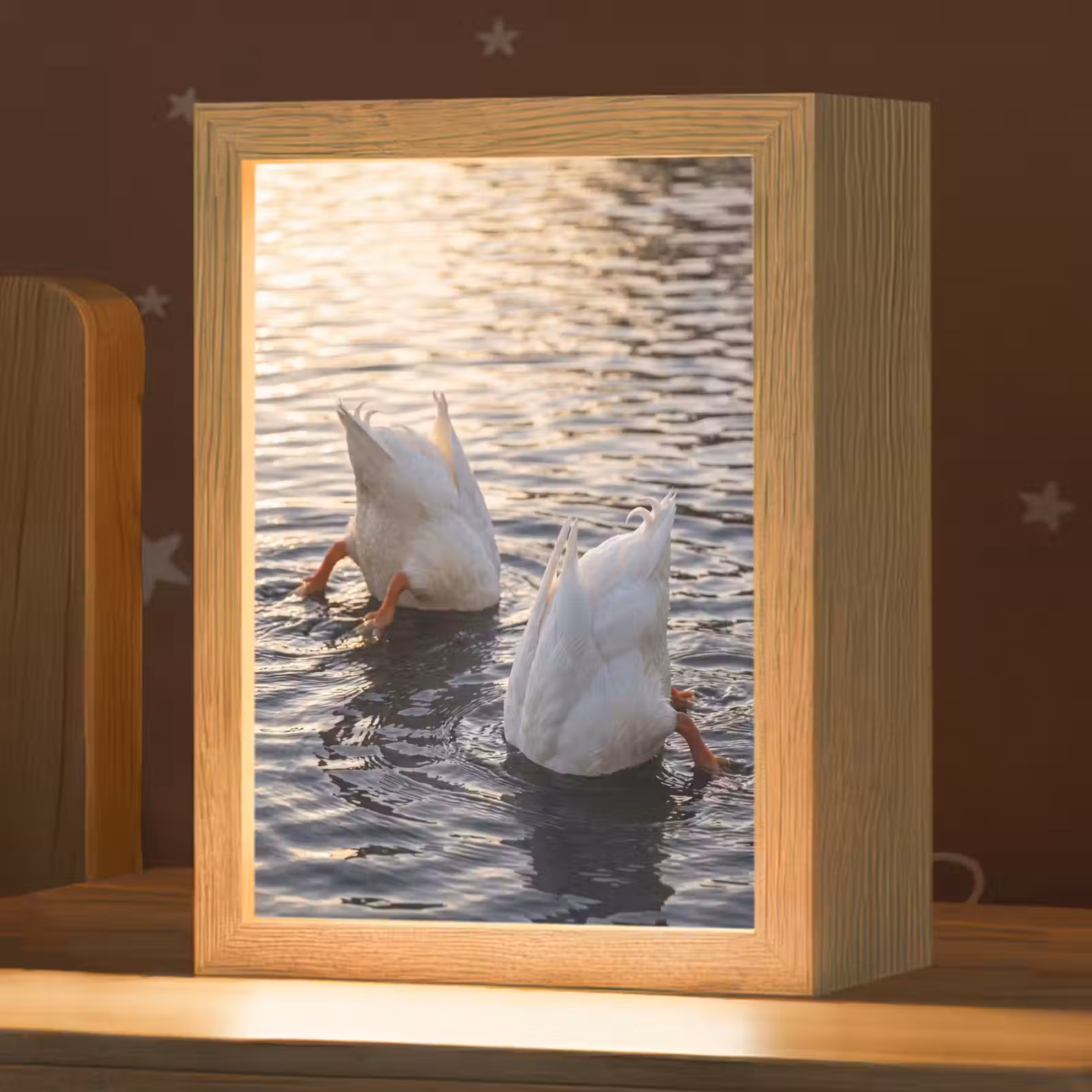 Nachtlampje - Eenden - Water - Natuur — 1