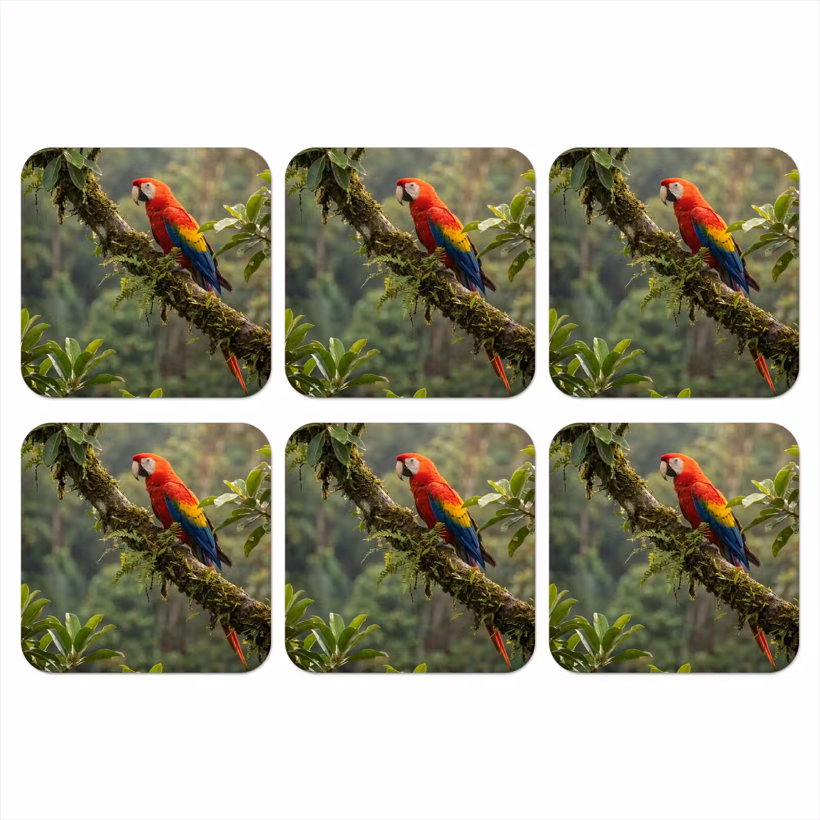 Onderzetter - Ara - Jungle - Rood — 1