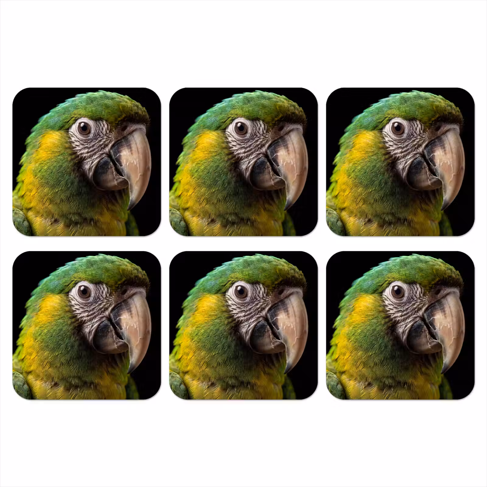 Onderzetter - Ara - Portret - Groen — 1